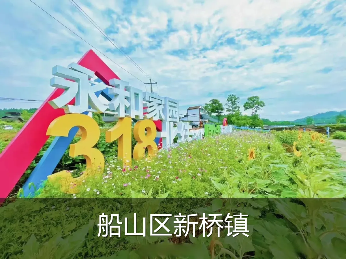 船山区新桥镇