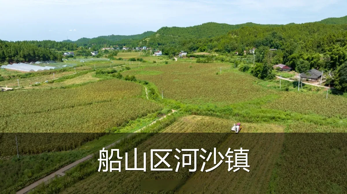 船山区河沙镇