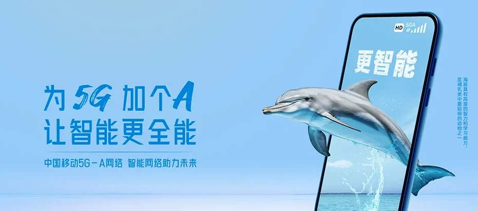 船山区船山区新桥镇 移动宽带